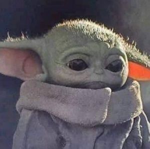 Meet your Posher, Cheyenne